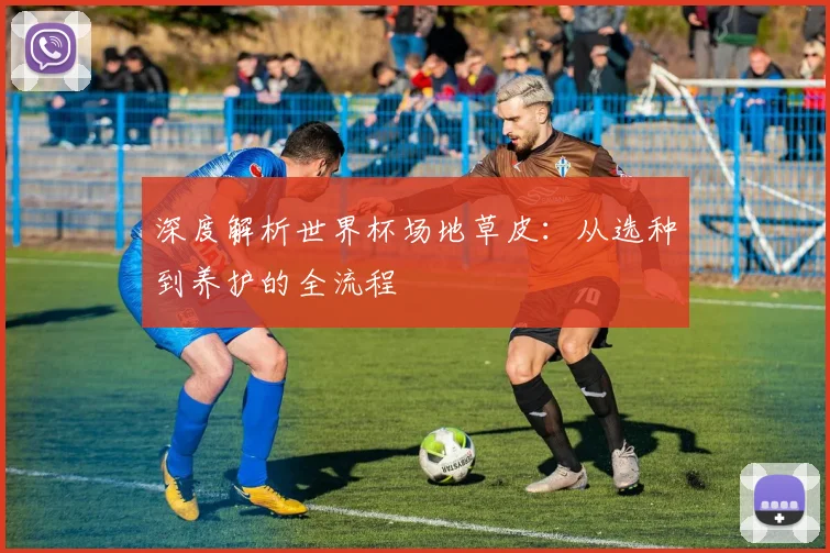 深度解析世界杯场地草皮：从选种到养护的全流程