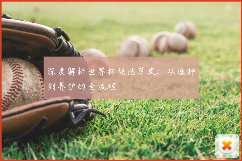深度解析世界杯场地草皮：从选种到养护的全流程