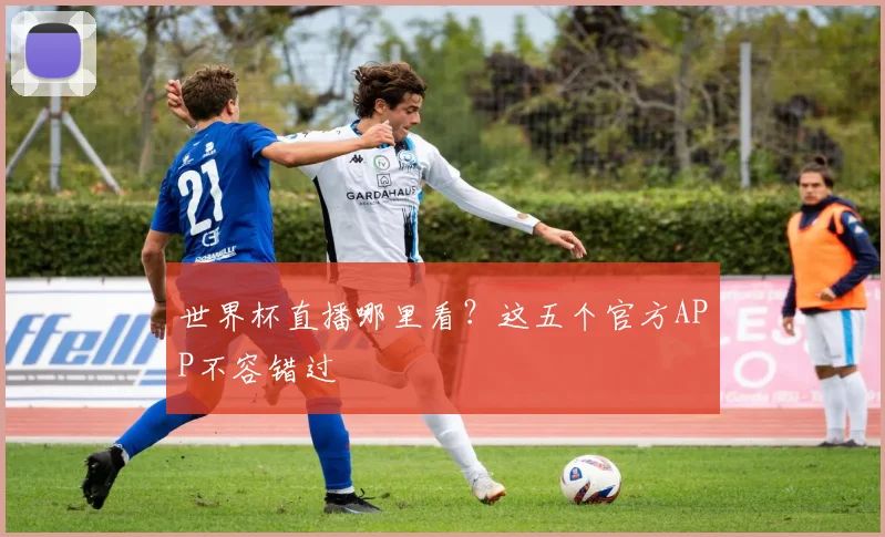 世界杯直播哪里看?这五个官方APP不容错过