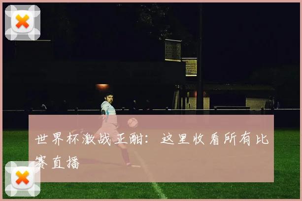 世界杯激战正酣:这里收看所有比赛直播