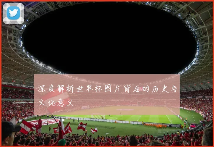 深度解析世界杯图片背后的历史与文化意义