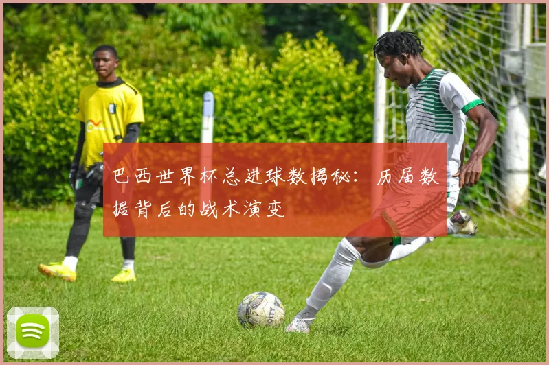 巴西世界杯总进球数揭秘：历届数据背后的战术演变