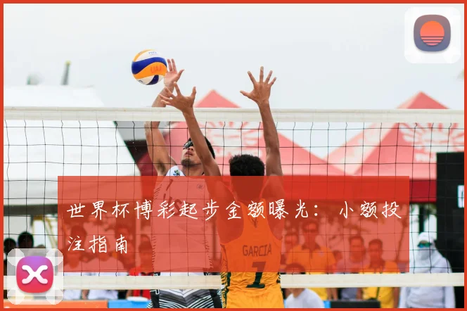 世界杯博彩起步金额曝光:小额投注指南