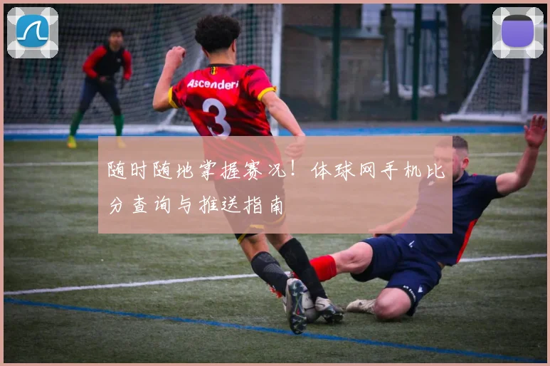 随时随地掌握赛况！体球网手机比分查询与推送指南
