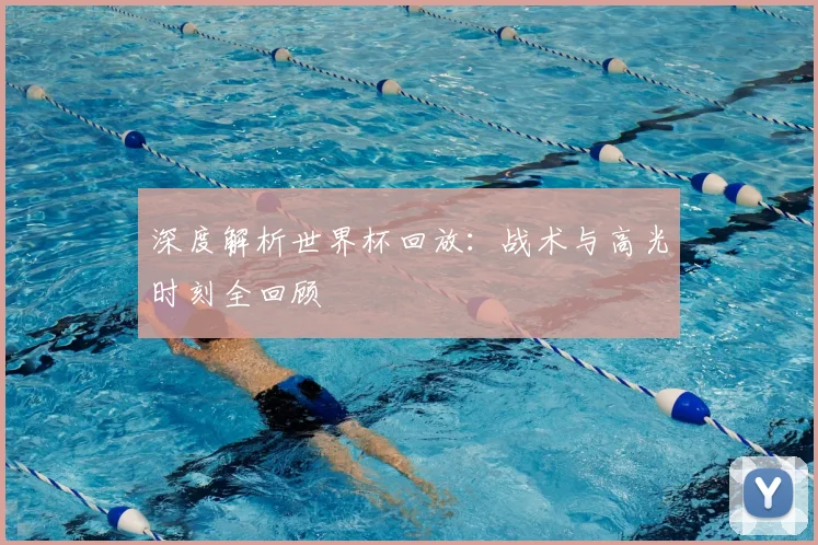 深度解析世界杯回放：战术与高光时刻全回顾